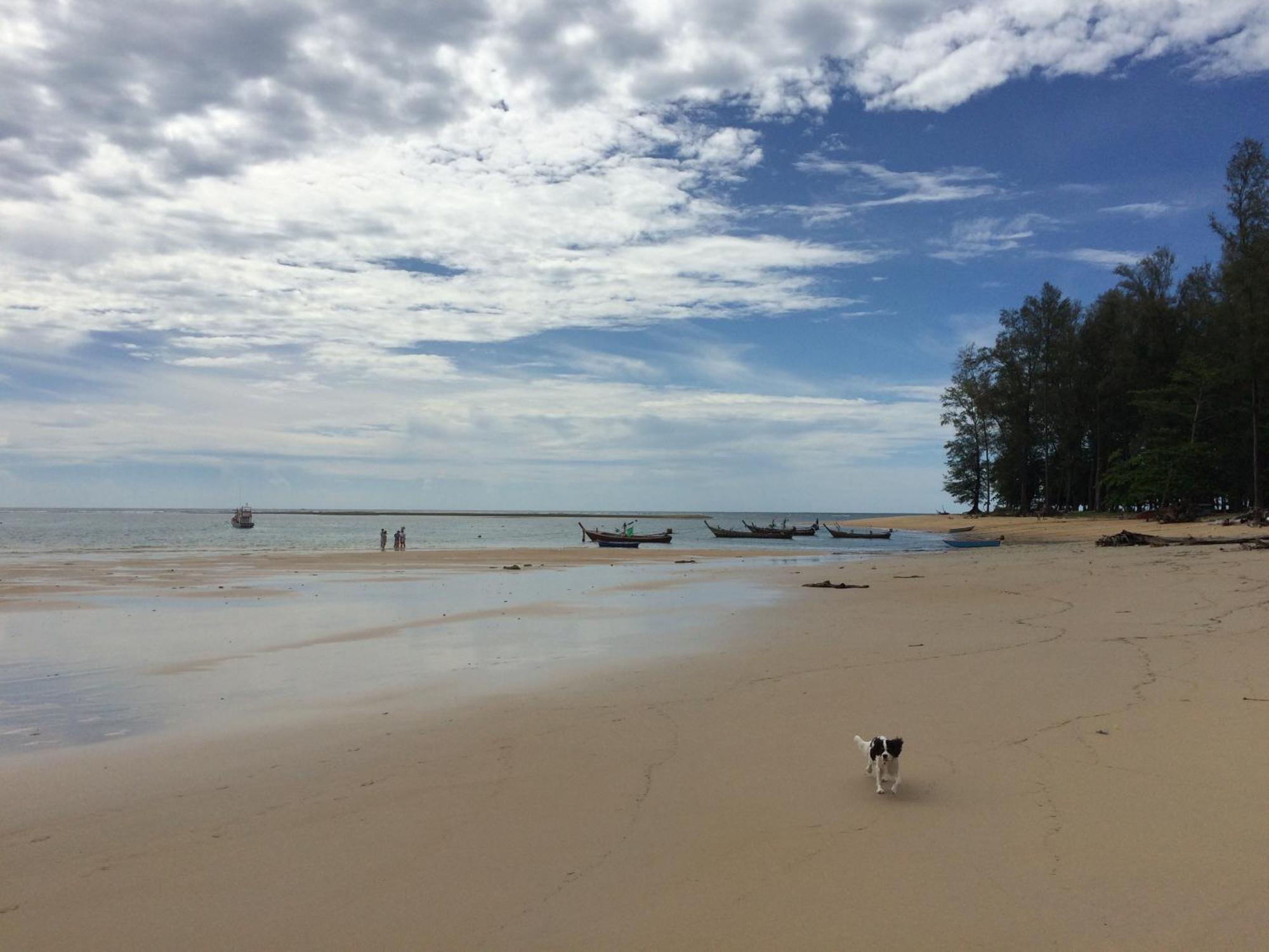 Nice Nap Nai Yang Beach المظهر الخارجي الصورة
